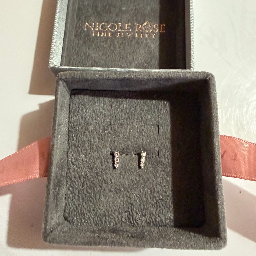 Nicole Rose Silver Earrings